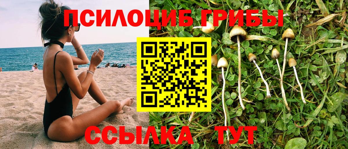 Псилоцибиновые грибы ЛСД Междуреченск