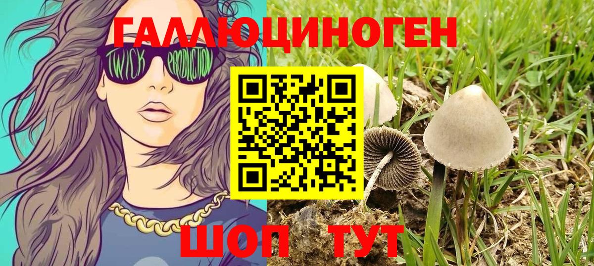 Междуреченск  Галлюциногенные грибы Magic Shrooms  Вход с VPN 
